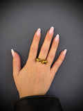 Anello Fluido