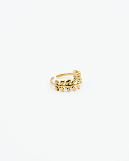 Anello - Olive crown